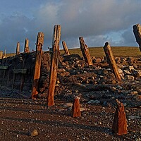 Buy canvas prints of The Old Groyne . by Mark Ritson
