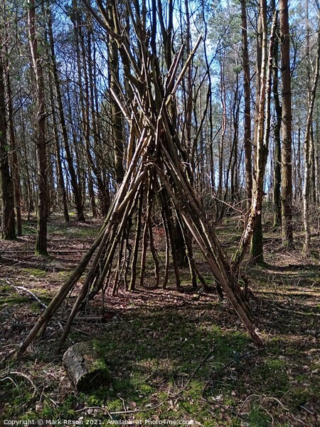 Abstract Tipi in the Woods  Picture Board by Mark Ritson