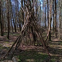 Buy canvas prints of Abstract Tipi in the Woods  by Mark Ritson