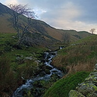 Buy canvas prints of Crummock Water stream and Stone Wall by Mark Ritson