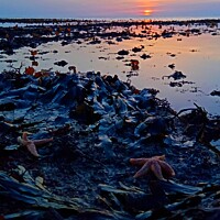 Buy canvas prints of Starfish at Sunset  by Mark Ritson