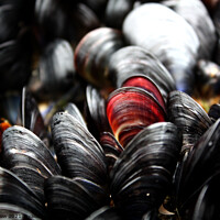 Buy canvas prints of Red and Black Mussels by Allan Snow