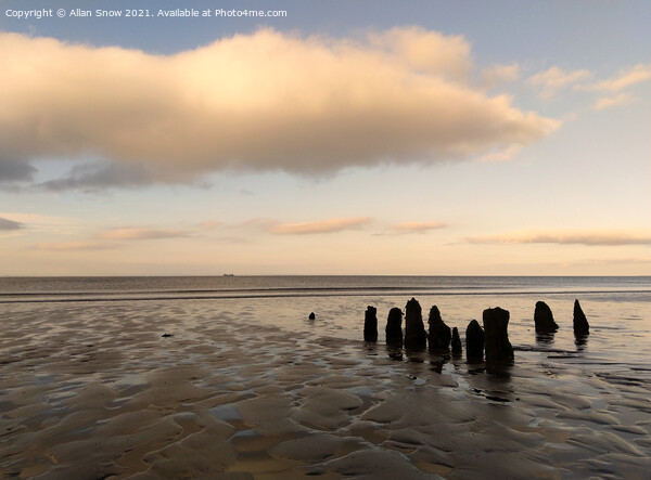 Old Wooden Stumps on Blue Anchor Beach, Somerset Picture Board by Allan Snow