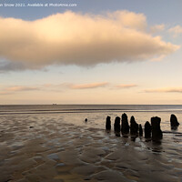 Buy canvas prints of Old Wooden Stumps on Blue Anchor Beach, Somerset by Allan Snow