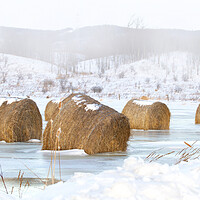 Buy canvas prints of Frosted mini wheats - Hay bales by Jim Cumming