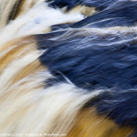 Buy canvas prints of Upper Aysgarth Falls by Mark Sunderland