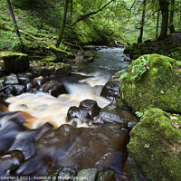 Buy canvas prints of Whitfield Gill near Askrigg by Mark Sunderland