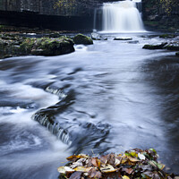 Buy canvas prints of West Burton Waterfall in Autumn by Mark Sunderland