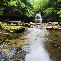 Buy canvas prints of West Burton Waterfall in Summer by Mark Sunderland