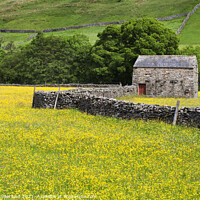 Buy canvas prints of Field Barn in Buttercup Meadows at Muker by Mark Sunderland