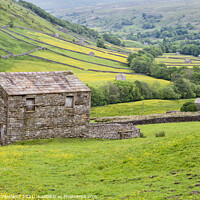 Buy canvas prints of Field Barn and Buttercup Meadows near Thwaite by Mark Sunderland