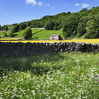 Buy canvas prints of Wildflowers by the Swale at Gunnerside by Mark Sunderland