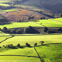 Buy canvas prints of Fields and Dry Stone Walls in Nidderdale by Mark Sunderland