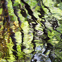 Buy canvas prints of Autumn Reflections in the River Nidd by Mark Sunderland