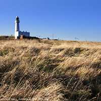 Buy canvas prints of Flamborough Head Lighthouse by Mark Sunderland