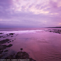 Buy canvas prints of East Sands at Dawn St Andrews Fife Scotland by Mark Sunderland