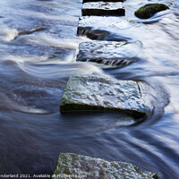 Buy canvas prints of Stepping Stones over Kex Beck near Beamsley by Mark Sunderland
