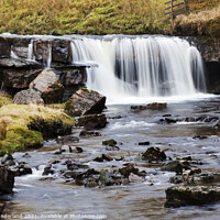 Buy canvas prints of Clough Force on Grisedale Beck near Garsdale Head by Mark Sunderland