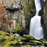 Buy canvas prints of Catrigg Force near Stainforth by Mark Sunderland