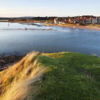 Buy canvas prints of Alnmouth across the Aln Estuary from Church Hill by Mark Sunderland