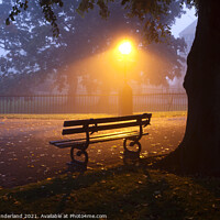 Buy canvas prints of Park Bench under a Tree on a Misty Morning by Mark Sunderland
