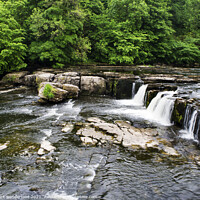 Buy canvas prints of Upper Aysgarth Falls in Wensleydale after Dry Weather in Summer by Mark Sunderland