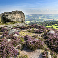 Buy canvas prints of Cow and Calf Rocks on Ilkley Moor by Mark Sunderland