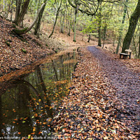 Buy canvas prints of Skipton Woods in Autumn by Mark Sunderland