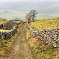 Buy canvas prints of Goat Scar Lane above Stainforth in Ribblesdale by Mark Sunderland