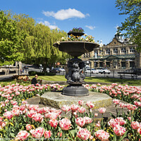 Buy canvas prints of Royal Hall and Crescent Gardens in Harrogate by Mark Sunderland