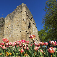 Buy canvas prints of The Kings Tower at Knaresborough Castle by Mark Sunderland