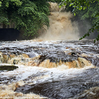 Buy canvas prints of West Burton Waterfall after Heavy Rain by Mark Sunderland