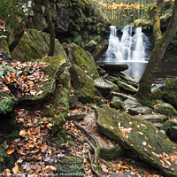 Buy canvas prints of Goitstock Waterfall in Autumn by Mark Sunderland