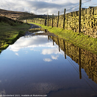 Buy canvas prints of Puddles on the Bronte Way near Haworth by Mark Sunderland