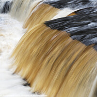 Buy canvas prints of Lower Aysgarth Falls by Mark Sunderland