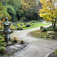 Buy canvas prints of Japanese Garden at Valley Gardens Harrogate by Mark Sunderland