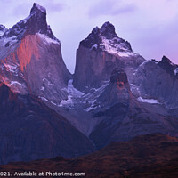 Buy canvas prints of Cuernos del Paine at Sunrise by Mark Sunderland