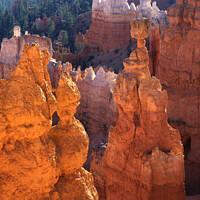Buy canvas prints of Thors Hammer Bryce Canyon by Mark Sunderland