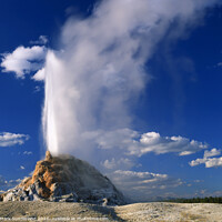 Buy canvas prints of White Dome Geyser at Yellowstone by Mark Sunderland