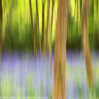 Buy canvas prints of Abstract Bluebell Woodland by Mark Sunderland