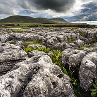 Buy canvas prints of Ingleborough from Ribblehead Yorkshire Dales by Mark Sunderland