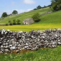 Buy canvas prints of Barn and Buttercup Meadows in Wharfedale by Mark Sunderland