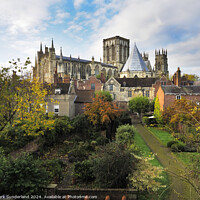 Buy canvas prints of York Minster from the City Walls in York by Mark Sunderland