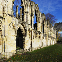 Buy canvas prints of St Marys Abbey Ruins in Museum Gardens York by Mark Sunderland