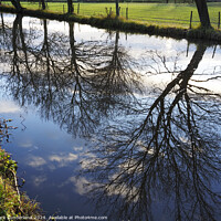 Buy canvas prints of Winter Reflections in Ripon Canal by Mark Sunderland