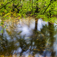 Buy canvas prints of Swirling Leaves in the River Wharfe Strid Wood Wharfedale by Mark Sunderland