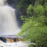 Buy canvas prints of Thornton Force in Full Flow After Heavy Rain by Mark Sunderland