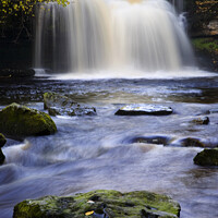 Buy canvas prints of West Burton Falls in Autumn by Mark Sunderland
