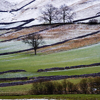 Buy canvas prints of Winter in Wharfedale by Mark Sunderland