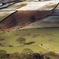Buy canvas prints of Winter Sunlight Plays on Fields in Farndale by Mark Sunderland